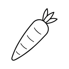 carrot outline line art drawing