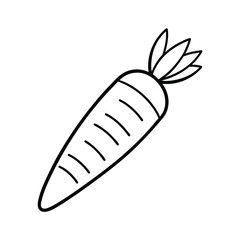 carrot outline line art drawing