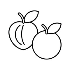 vector illustration of an apple