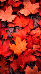 Close up shot of vibrant red and orange maple leaves scattered on the ground in autumn season