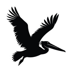 pelican flying in the sky