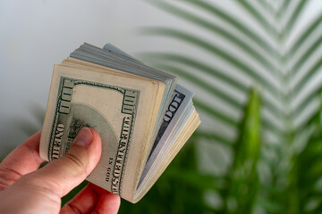 Bundle of 100 dollar bills held by man hand with indoor tropical leaves behind. Idea of saving...