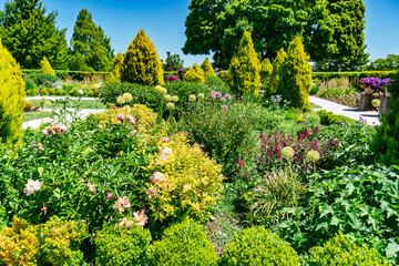 Sunken Garden Plants 5