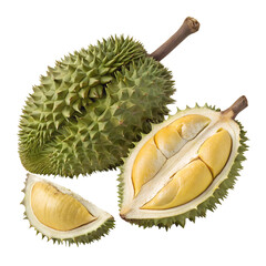 Obraz premium Fresh durian fruit still life on transparent background 