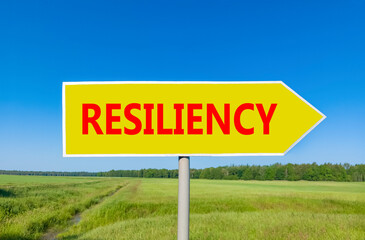 Resiliency symbol. Concept word Resiliency on beautiful yellow road sign. Beautiful blue sky green grass and forest peaceful nature background. Business resiliency concept. Copy space.