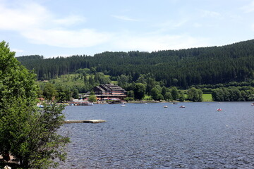 Der Titisee im Schwarzwald an einem sonnigen Tag