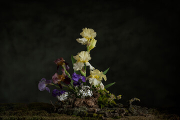 A mysterious composition in a naturalistic style with iris flowers. Branches, moss and lichen...