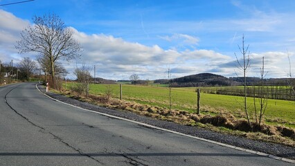 Fototapeta premium Idyllic Scenery: Asphalt Road, Barren Trees, and Blue Sky