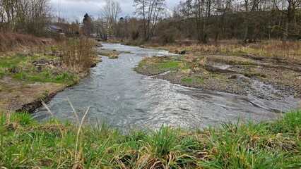 Winding River through Natural Landscape
