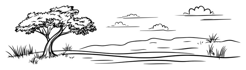 hand drawn african savanna tree and landscape – vector line art