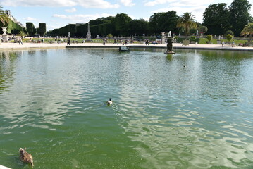 Bassin au jardin du Luxembourg à Paris. France