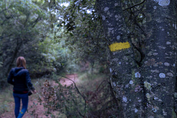 young woman walking in the woods