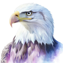 Obraz premium Realistic digital painting of a majestic bald eagle head in profile with detailed feathers and intense gaze