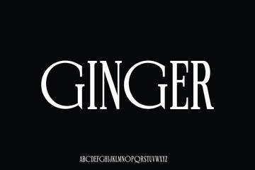 Elegance minimalist serif alphabet display font vector for branding design