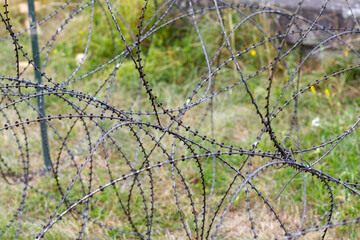 Razor Wire Coil on Grass