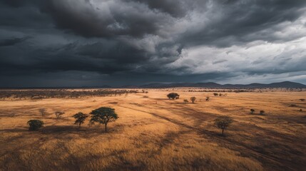 Obraz premium Stormy Sky Over the African Savannah