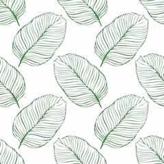 Seamless Tropical Leaf Pattern Vector - Green Banana Leaves Background Illustration