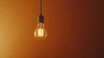 A single vintage-style filament light bulb glows warmly against a plain brown background.