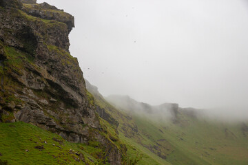 foggy cliffs