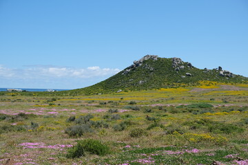 Scenic View of West Coast National Park Landscape