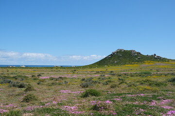 Scenic View of West Coast National Park
