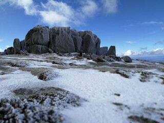 Neve