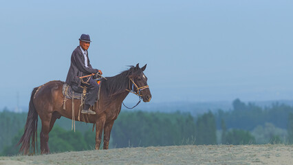horse and rider on a horse