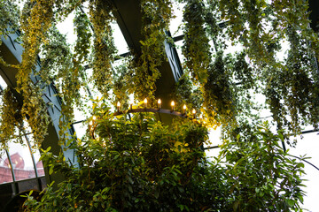 A decorative arch decorated with lush greenery and round illuminated chandeliers.