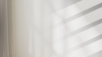 Minimalist Interior Designer Background