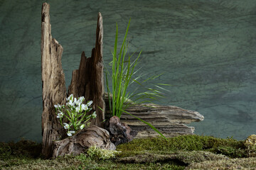 Fresh and delicate Ornithogalum blooms alongside other spring flowers in a mystical and enigmatic...