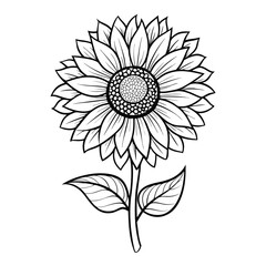 Simple Line Art Sunflower Illustration
