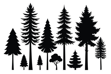 Obraz premium Collection of black silhouettes various evergreen trees
