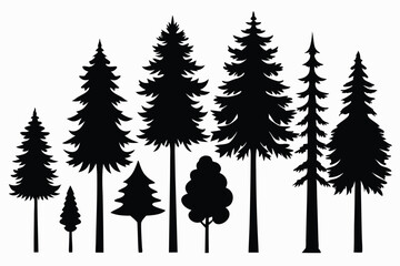 Fototapeta premium Silhouettes of various evergreen trees in a forest
