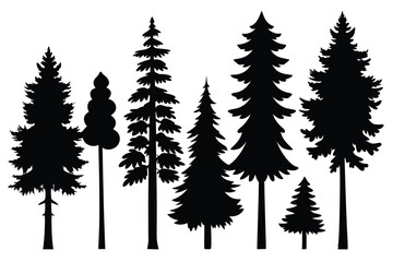 Fototapeta premium Silhouettes of seven evergreen trees in a row