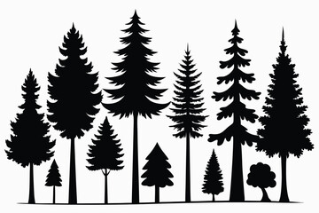 Obraz premium Silhouettes of various evergreen trees in a forest