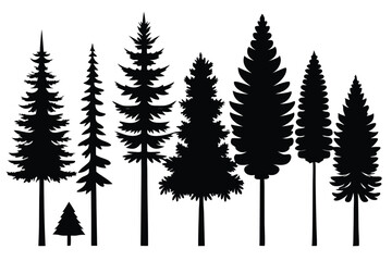 Obraz premium Silhouettes of seven evergreen trees in a row