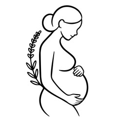 Elegant line art of a pregnant woman holding her belly with a plant isolated on transparent background
