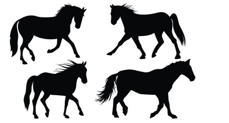 Collection of horse silhouettes set vector illustration. isolated on white background