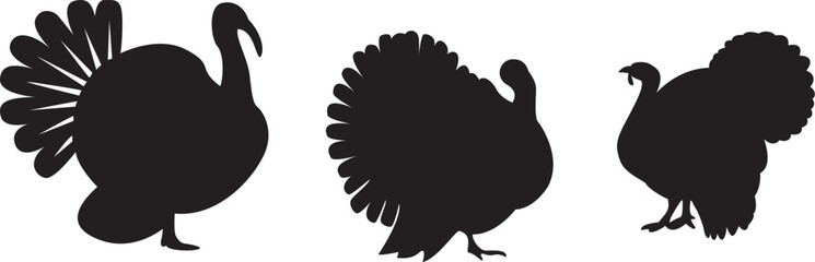 eagle vector illustration