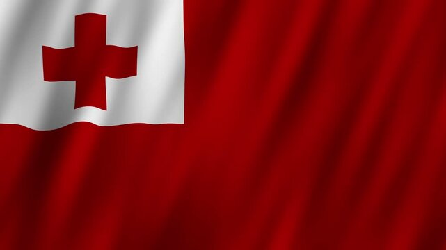 Display of Tonga flag and celebration of culture in vibrant event