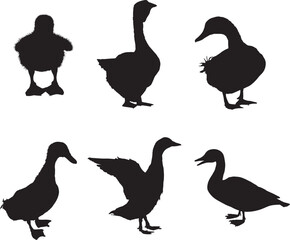 set of silhouettes of ducks