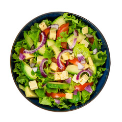 salade composée, tomates, avocat, fromage, sans sauce, oignon, photographie studio, isolé sur fond blanc - vue de dessus