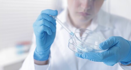 Scientist working with sample in Petri dish in laboratory, closeup