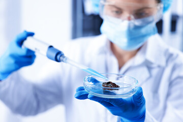 Scientist working with sample in Petri dish in laboratory, selective focus