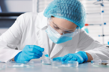 Scientist working with sample in Petri dish at table in laboratory