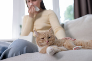 Woman suffering from allergy with her cat on sofa at home, selective focus