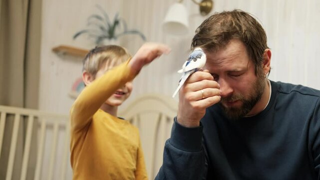 Father and son enjoying at home. Young boy and his daddy playing with funny pet budgerigar parrot. Happy family. Tamed budgie parakeet. People take care of and play with bird. Cute domestic animals