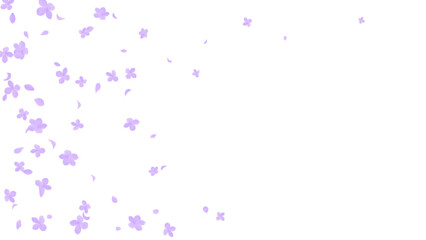 Hydrangea flower and petals flying on transparent background. Sales and other seasonal event