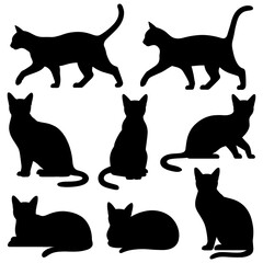 Silhouettes of various cats in black