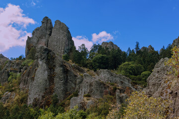 Tall rock spires in pine forest Hidalgo Mexico